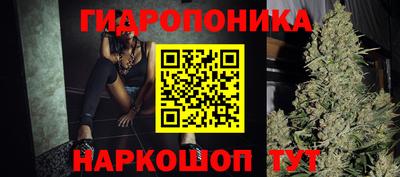 сатива Кинель