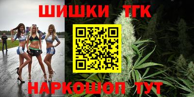 стаф Кингисепп
