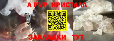 стаф Кингисепп