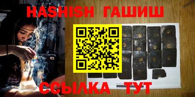 стаф Кингисепп