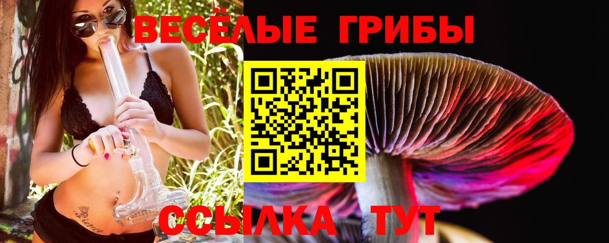 Кубинка  Галлюциногенные грибы GOLDEN TEACHER  Вход с VPN 